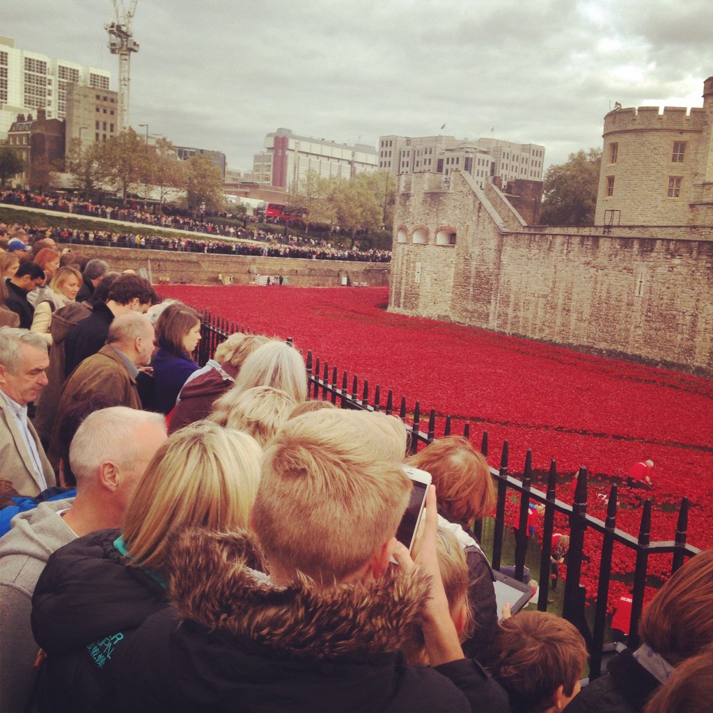 Poppies at Tower of London