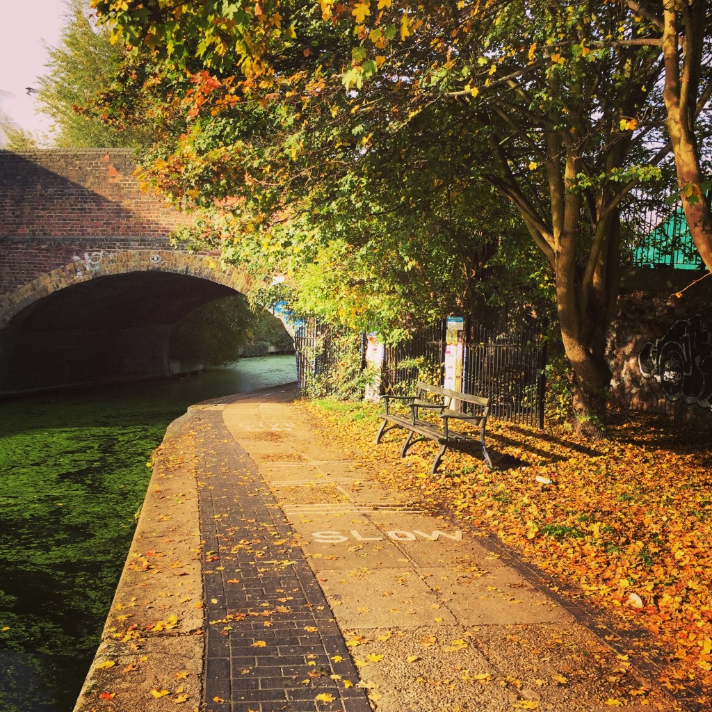 Autumn walks Regents Canal London