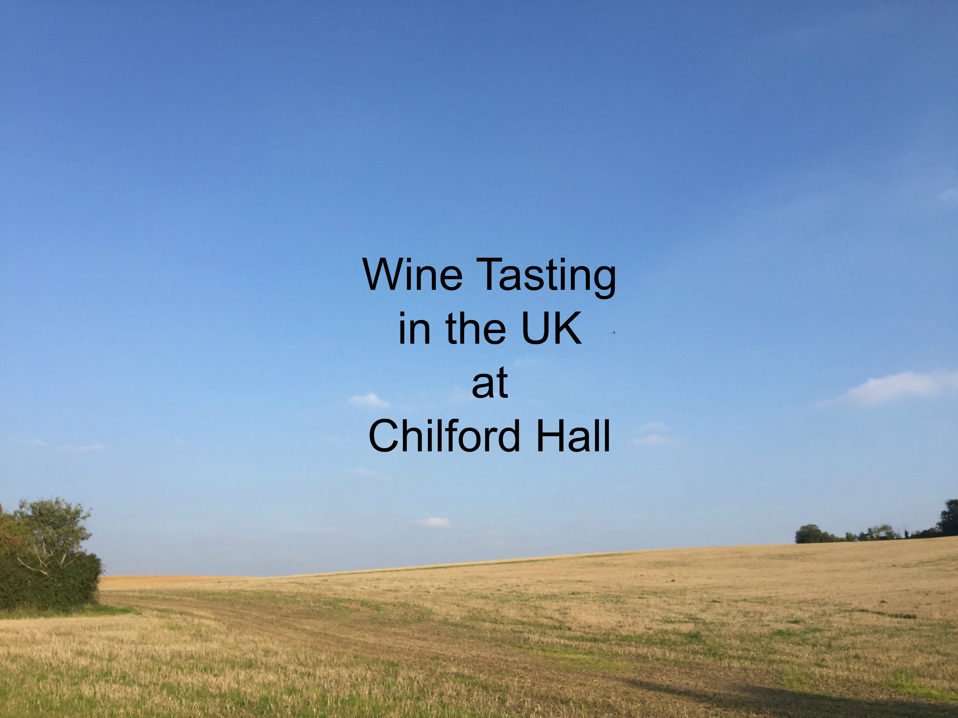 Wine tasting in the UK at Chilford Hall