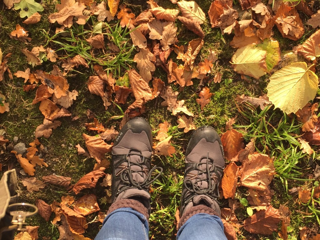 Autumn walks through leaves
