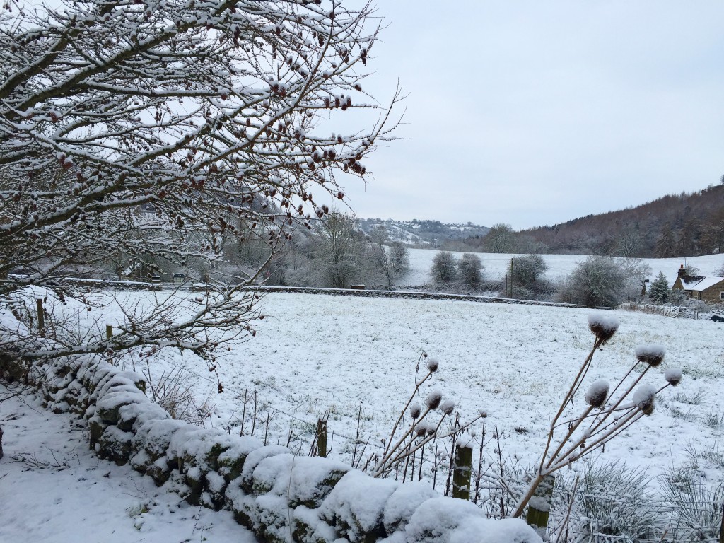 Snow in Derbyshire 2016