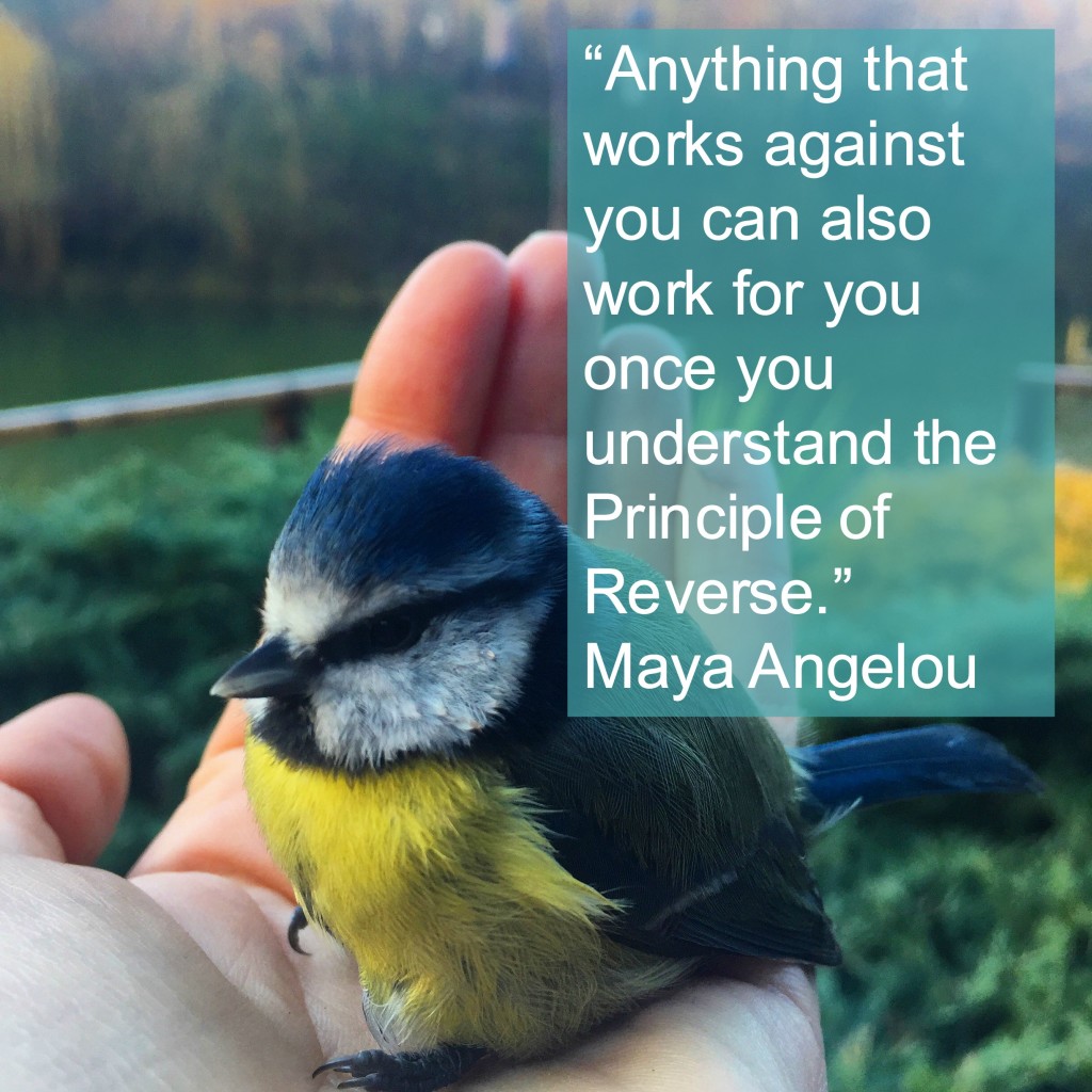 Maya Angelou quote