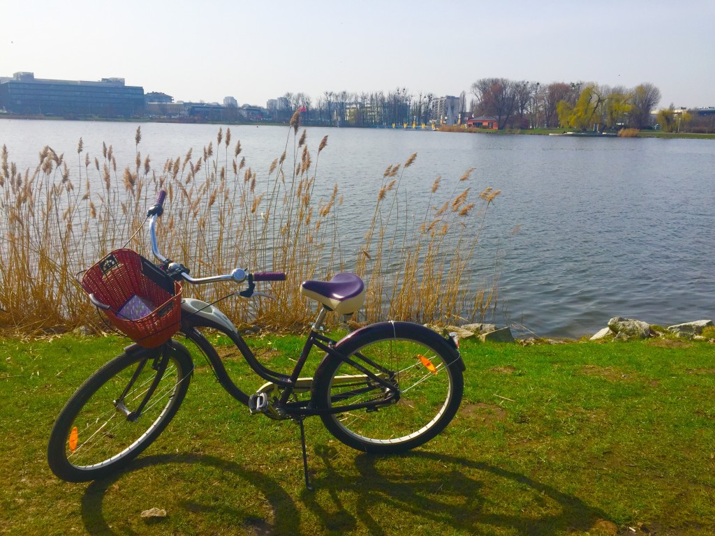 Poznan cycling