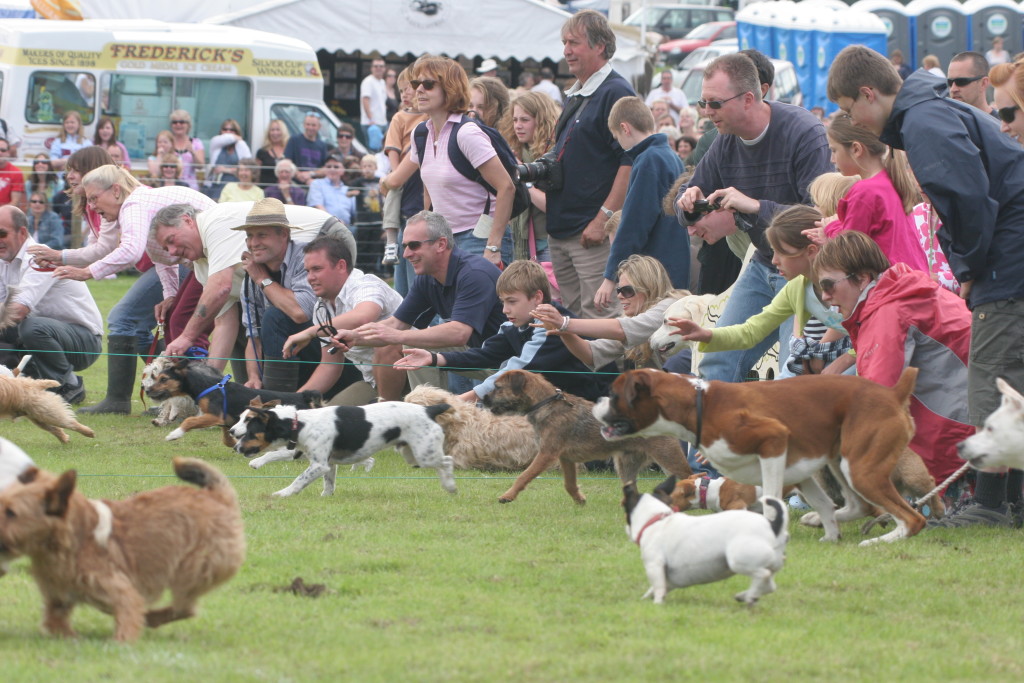Chatsworth Country Fair - dogs