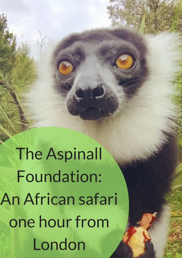 The Aspinall Foundation: An African safari one hour from London