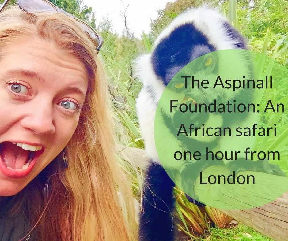 The Aspinall Foundation: An African safari one hour from London