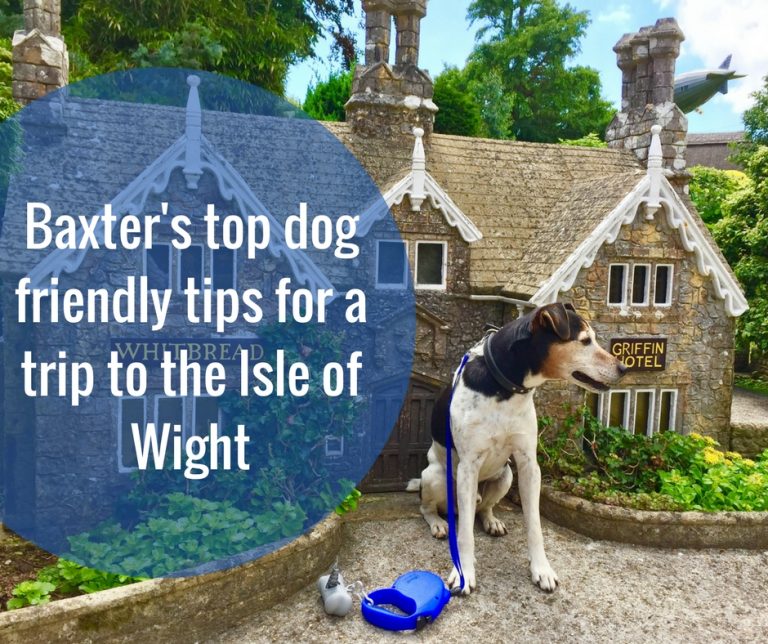 Isle of Woof: Baxter’s top dog friendly tips for a trip to the Isle of Wight