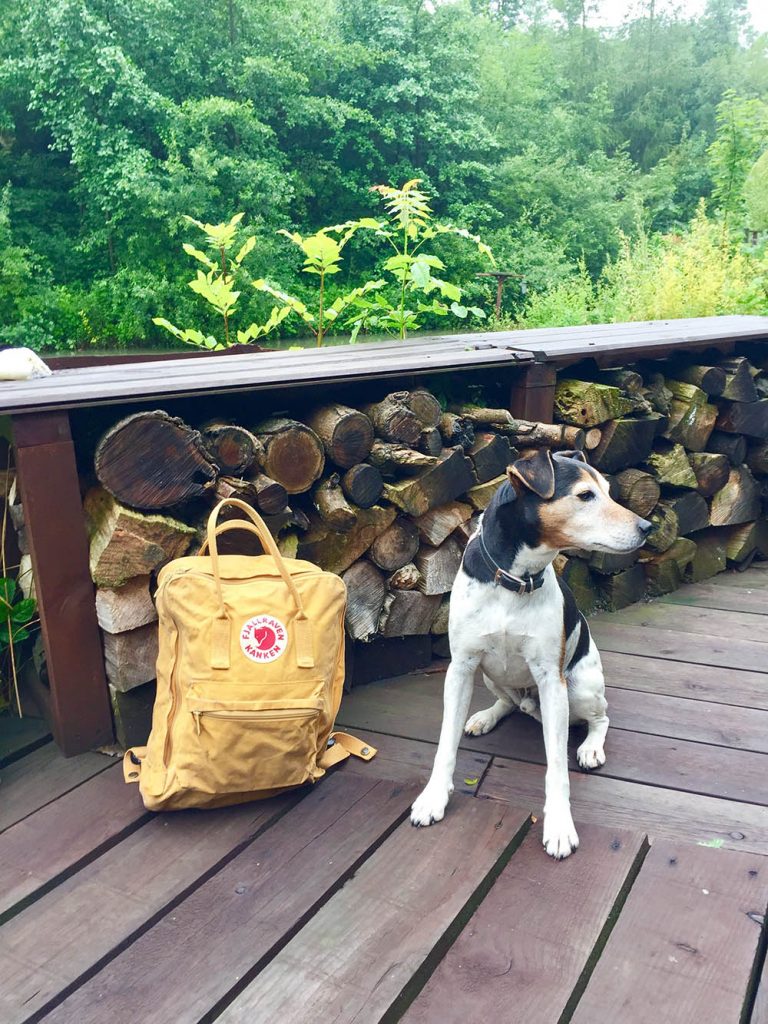 Baxter the legend and his bag