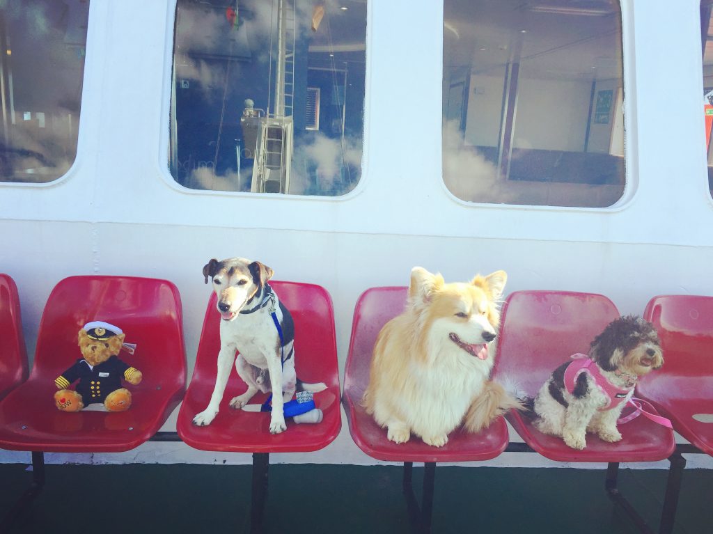 Baxter the Legend and Friends on Red Funnel Ferries 