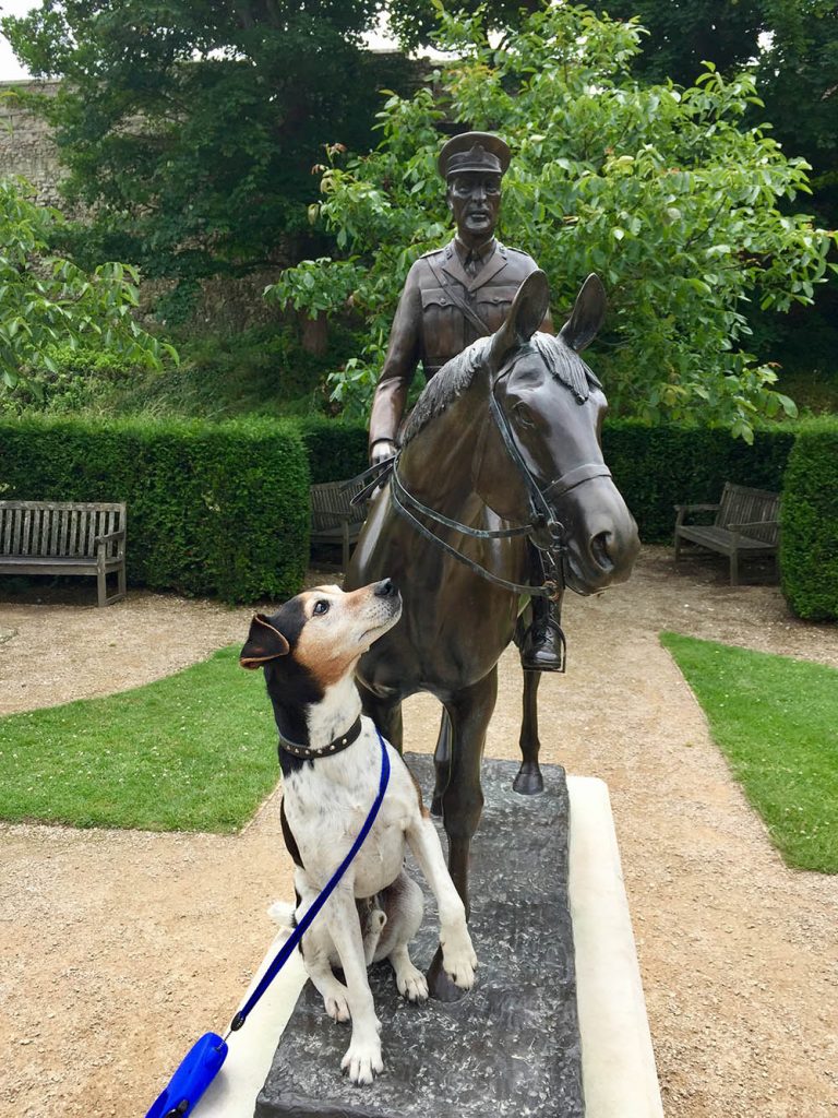 Baxter the Legend at Carisbrooke Castle