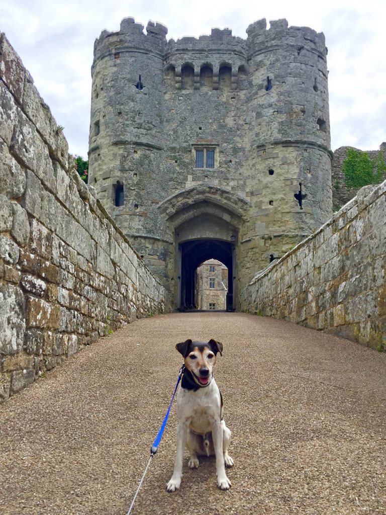 Baxter the Legend at Carisbrooke Castle