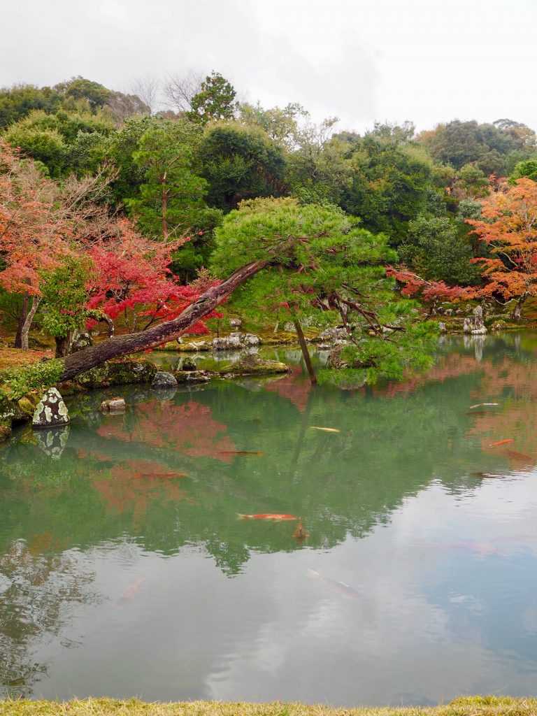 Reflections in the water at Tenryū Shiseizen-ji 