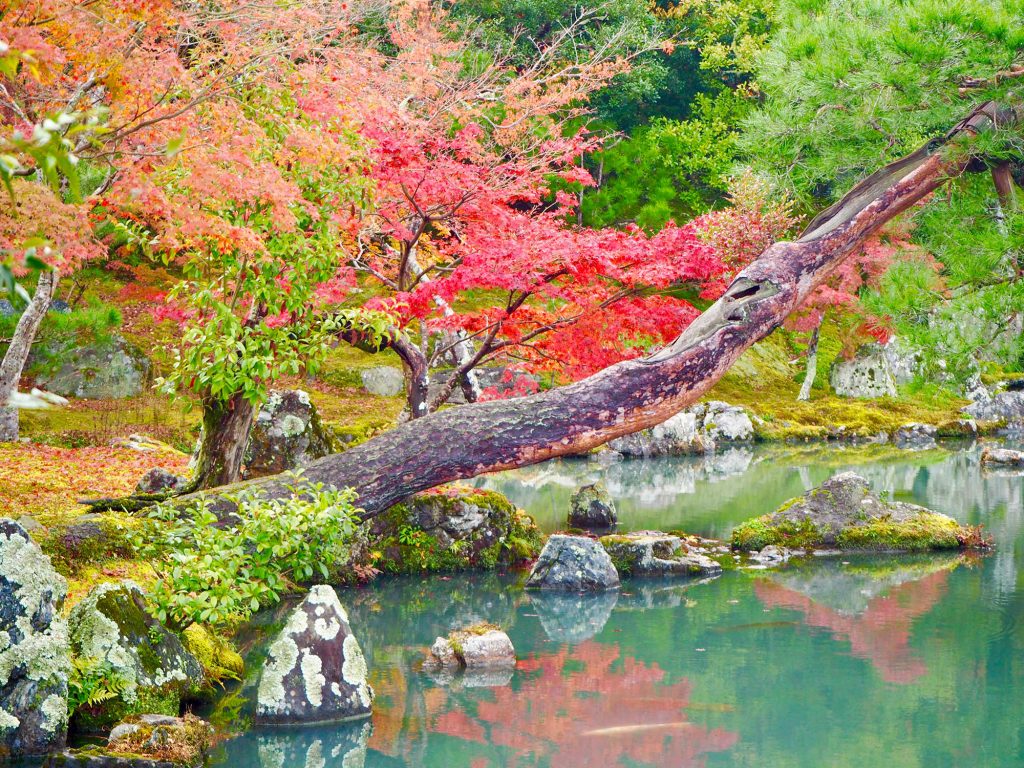 Reflections in the water at Tenryū Shiseizen-ji 