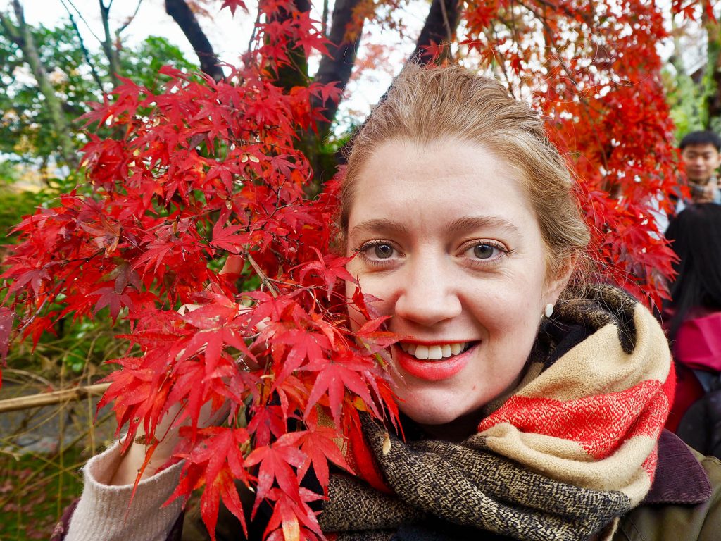 red autumn leaves in Kyoto