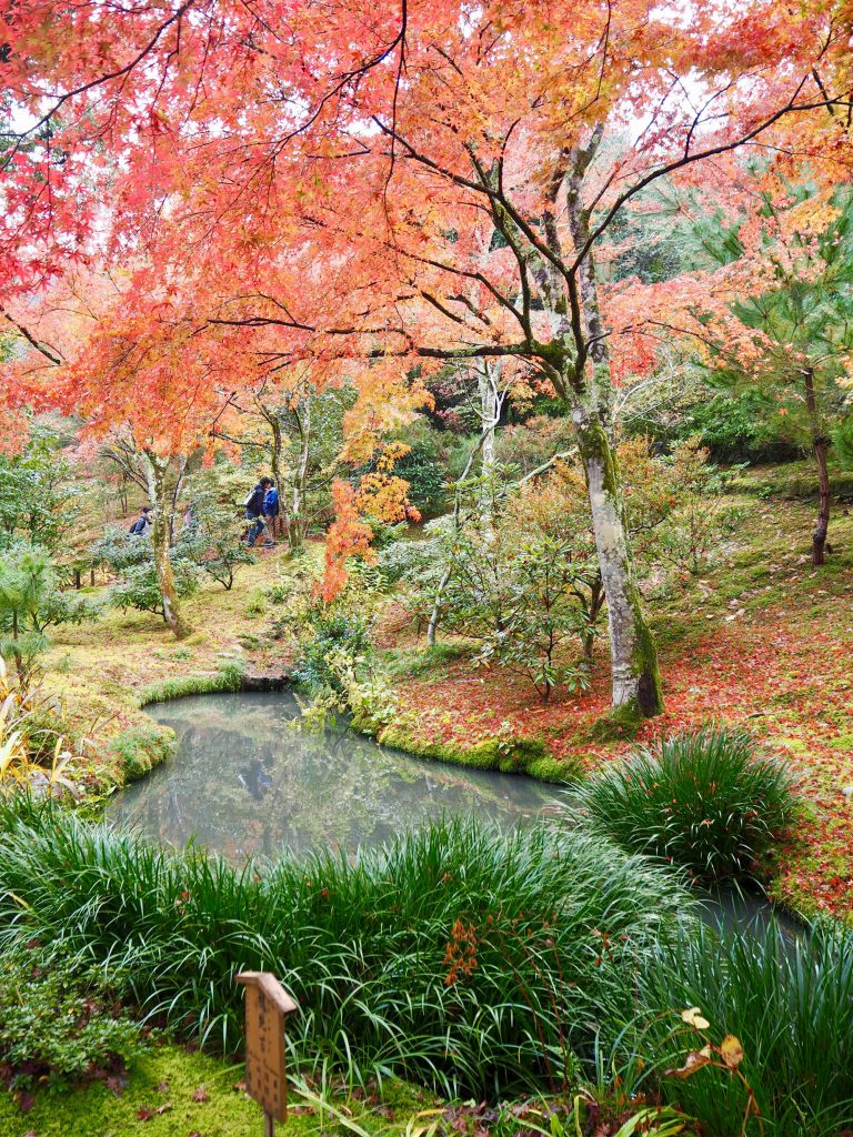  Autumn leaves in Tenryū Shiseizen-ji 
