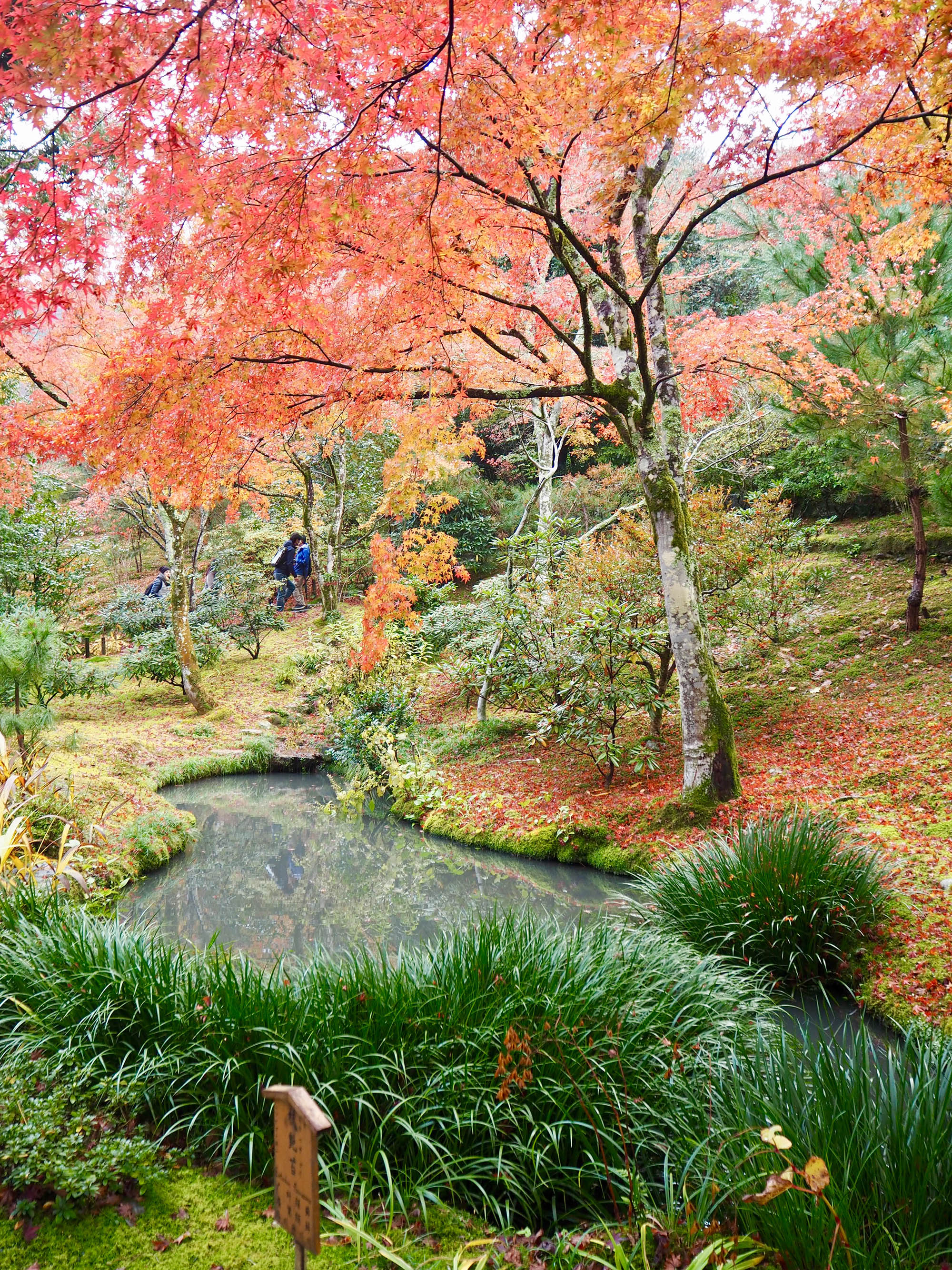 20 photos that will make you want to visit Japan in the Autumn - She ...