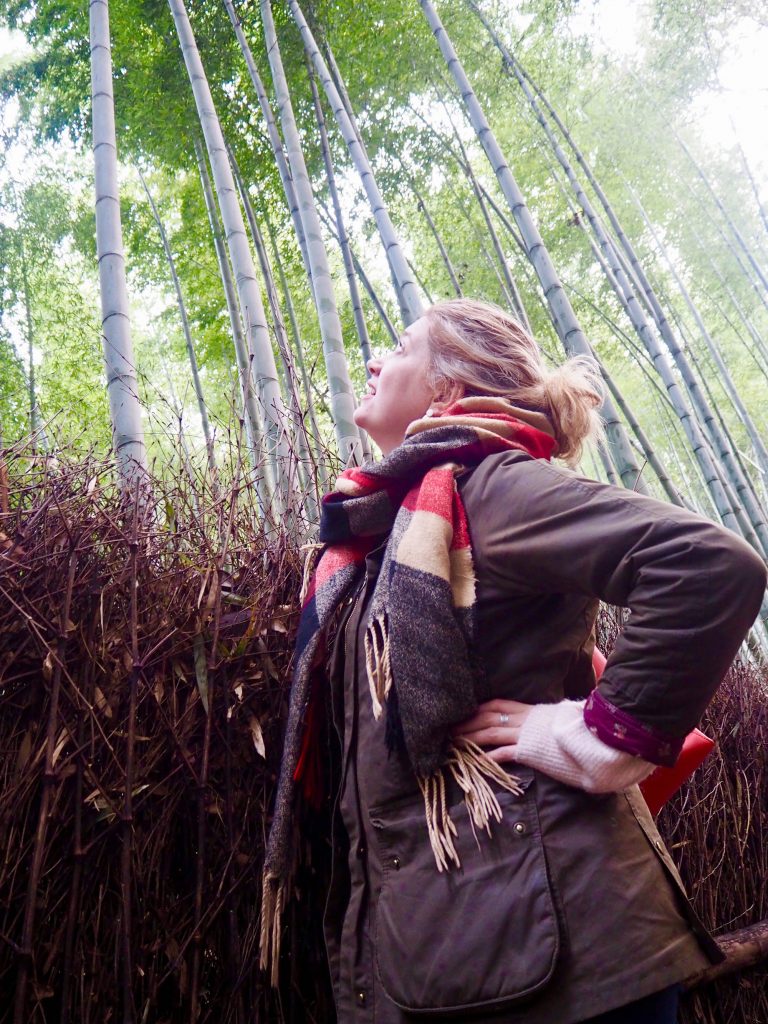 Arashiyama bamboo groves