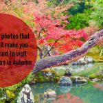 20 photos that will make you want to visit Japan in the Autumn