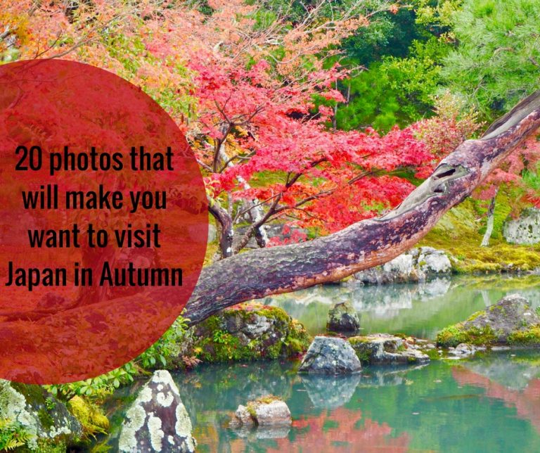 20 photos that will make you want to visit Japan in the Autumn