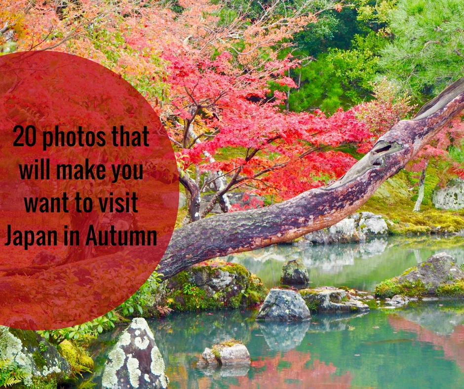 20 photos that will make you want to visit Japan in Autumn