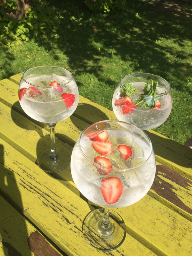 strawberry Gin and tonic in Derbyshire