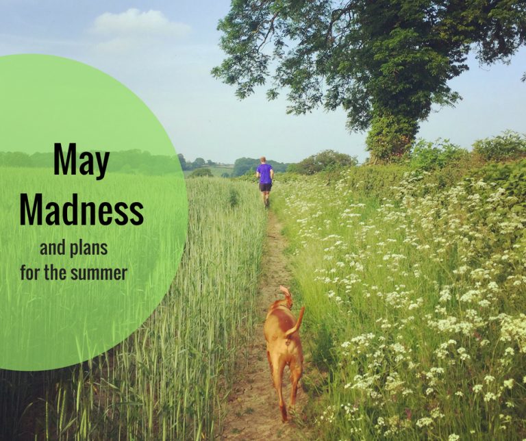 May madness and plans for the summer