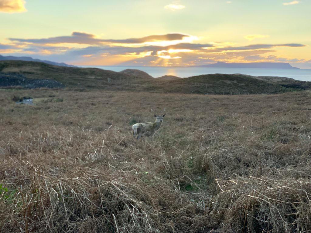 Camusblathen, Knoydart, Scotland dog friendly holiday