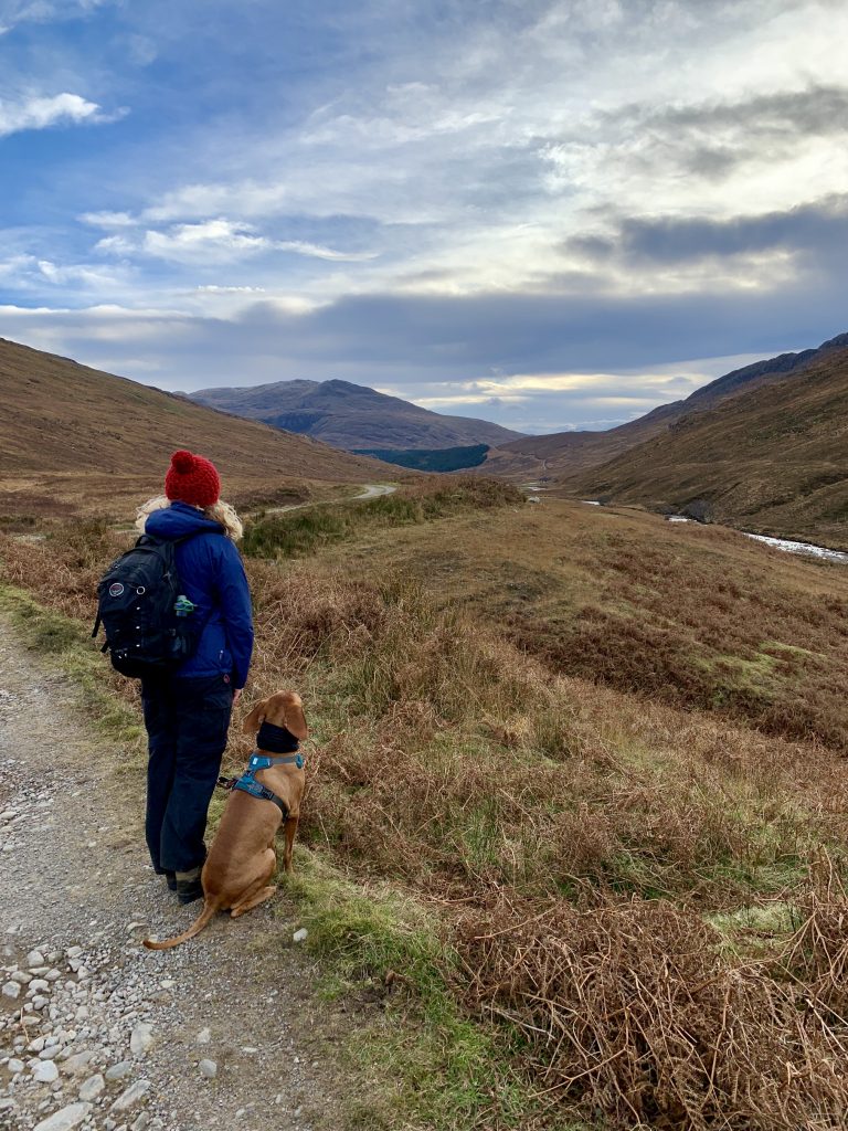 Knoydart, Scotland dog friendly holiday