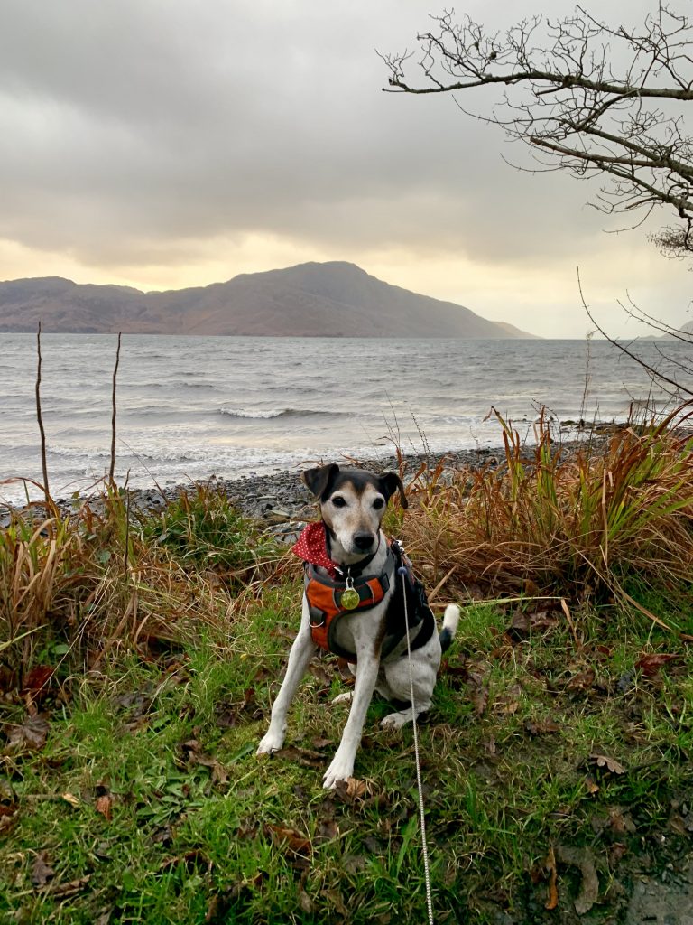 Knoydart, Scotland dog friendly holiday