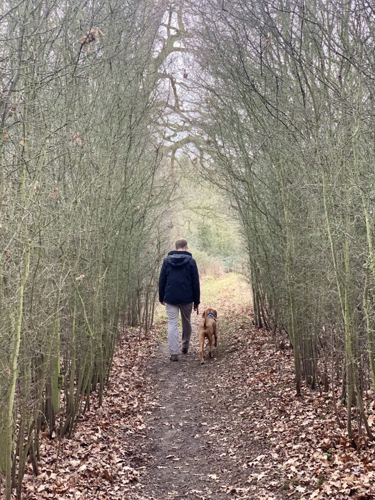 country walks in the Cotswolds