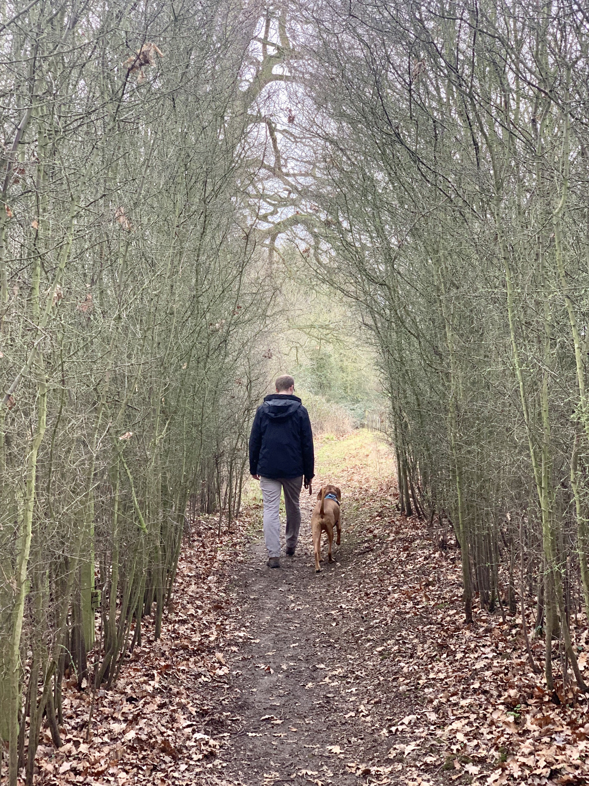A dog friendly weekend in MoretoninMarsh, Cotswolds. She Gets Around