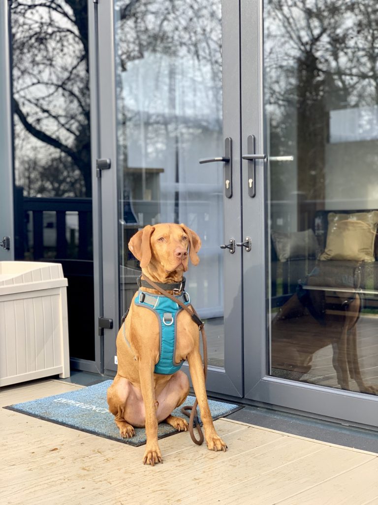 Glamping pod in Moreton-in-Marsh, Experience Freedom