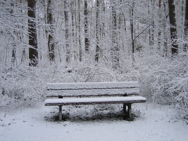 Snowy bench at Center Parcs