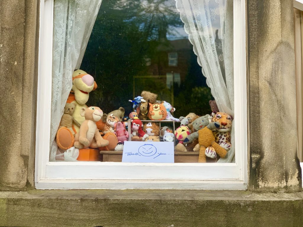 Photos of Matlock in Lockdown - teddy bears in the window