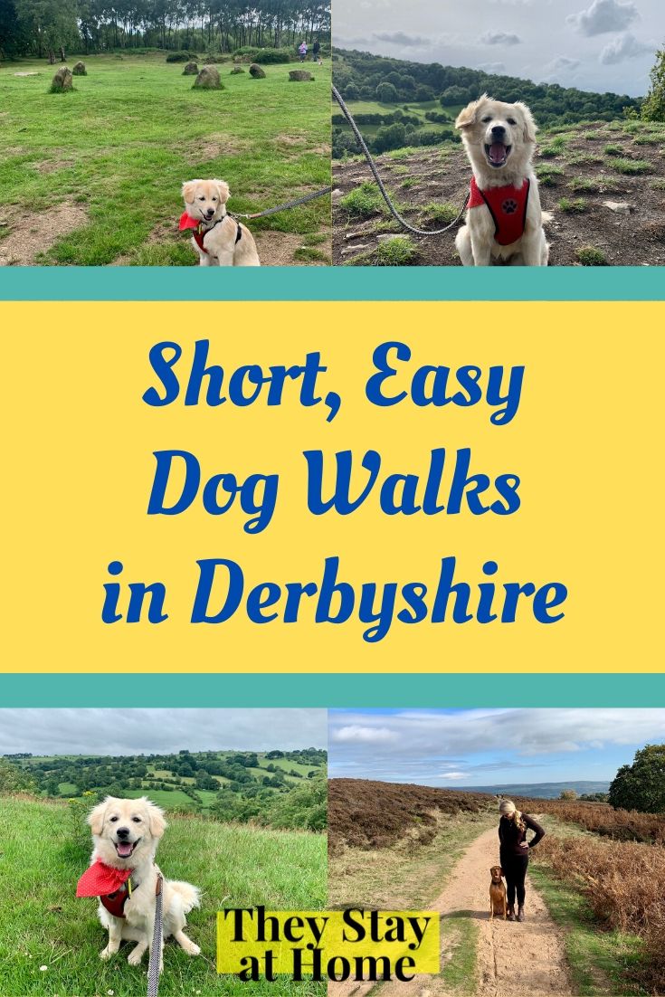 5 Best Dog Walks in Derbyshire She Gets Around