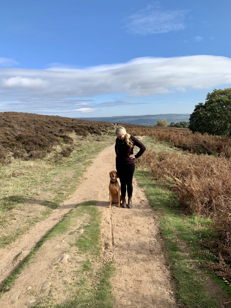 5 Best dog walks in Derbyshire - Stanton Moor