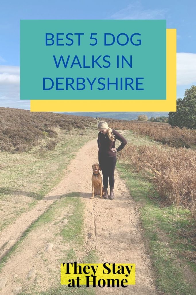 Best dog walks in Derbyshire