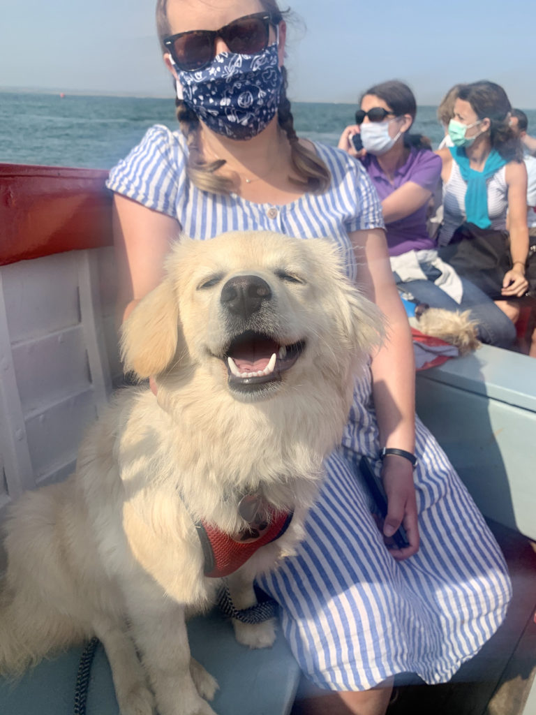 Dog friendly seal trip to blakeney Point - Bishops Boats