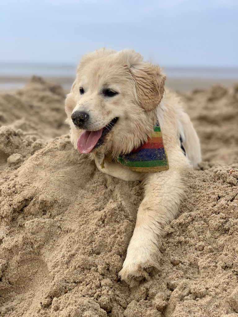 Brancaster Beach - A Dog Friendly holiday in Norfolk