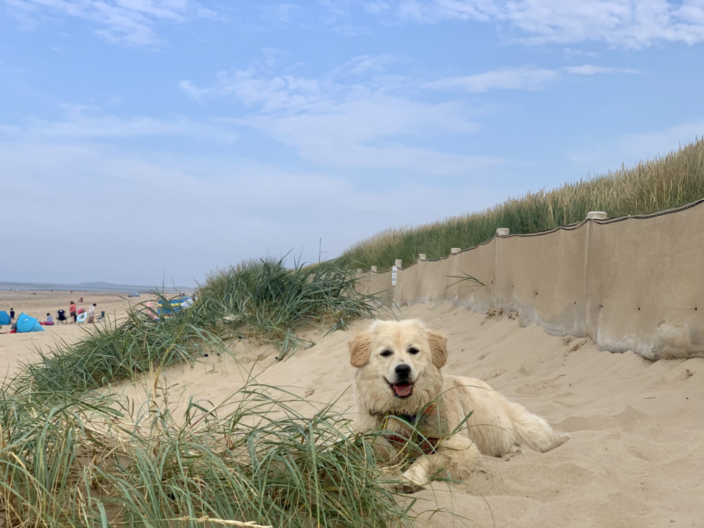 Brancaster Beach - A Dog Friendly holiday in Norfolk