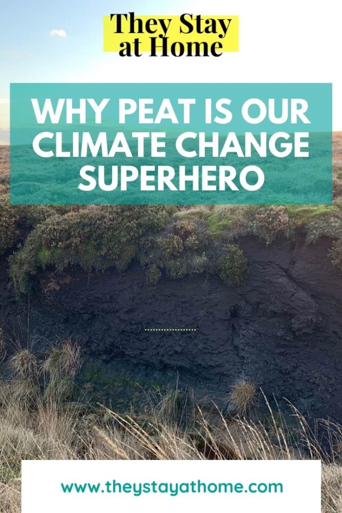 Why peat is our climate change superhero