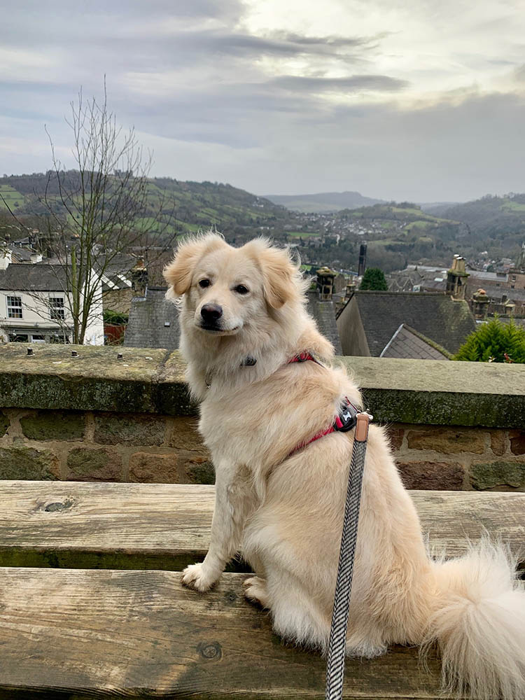 walking in Matlock, Derbyshire in the snow