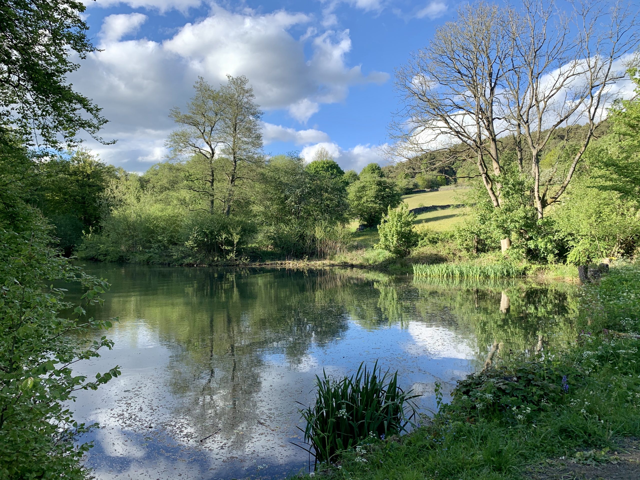 23 Reasons Why Matlock is the Best Place to Live