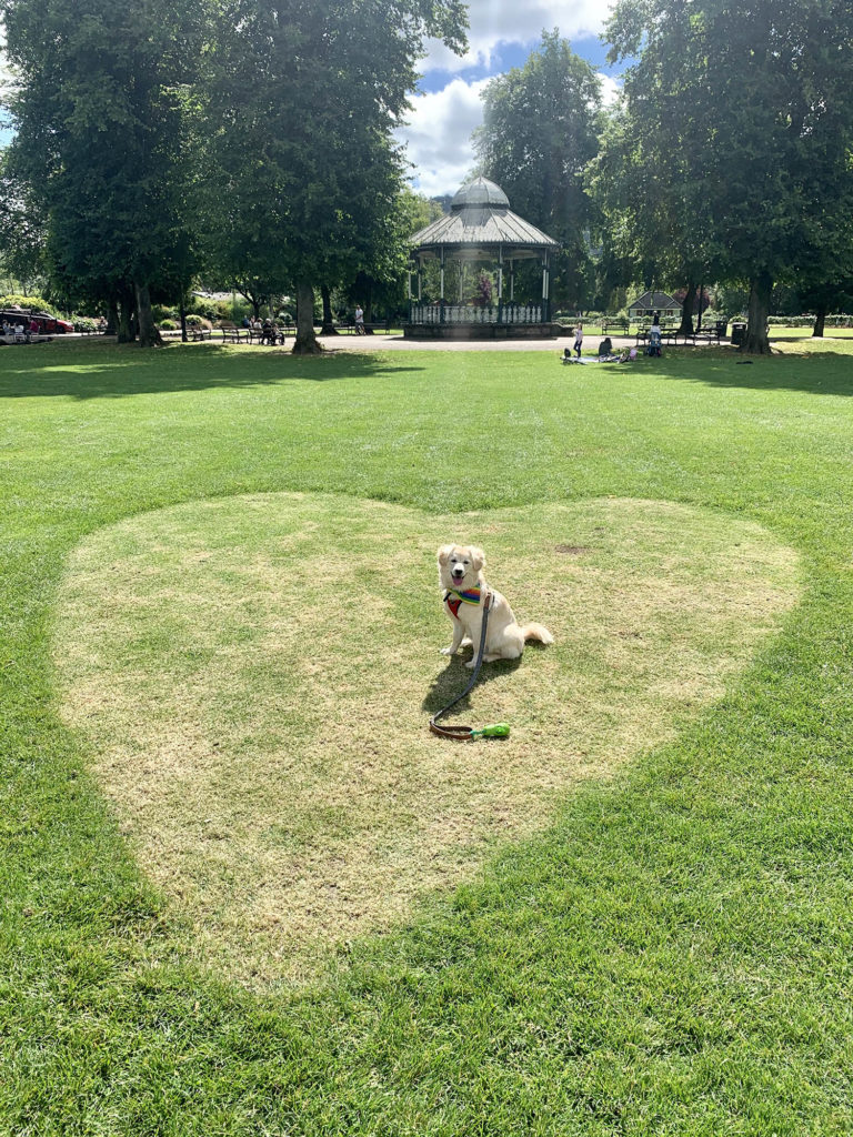 Cookie in a heart in Matlock, Derbyshire