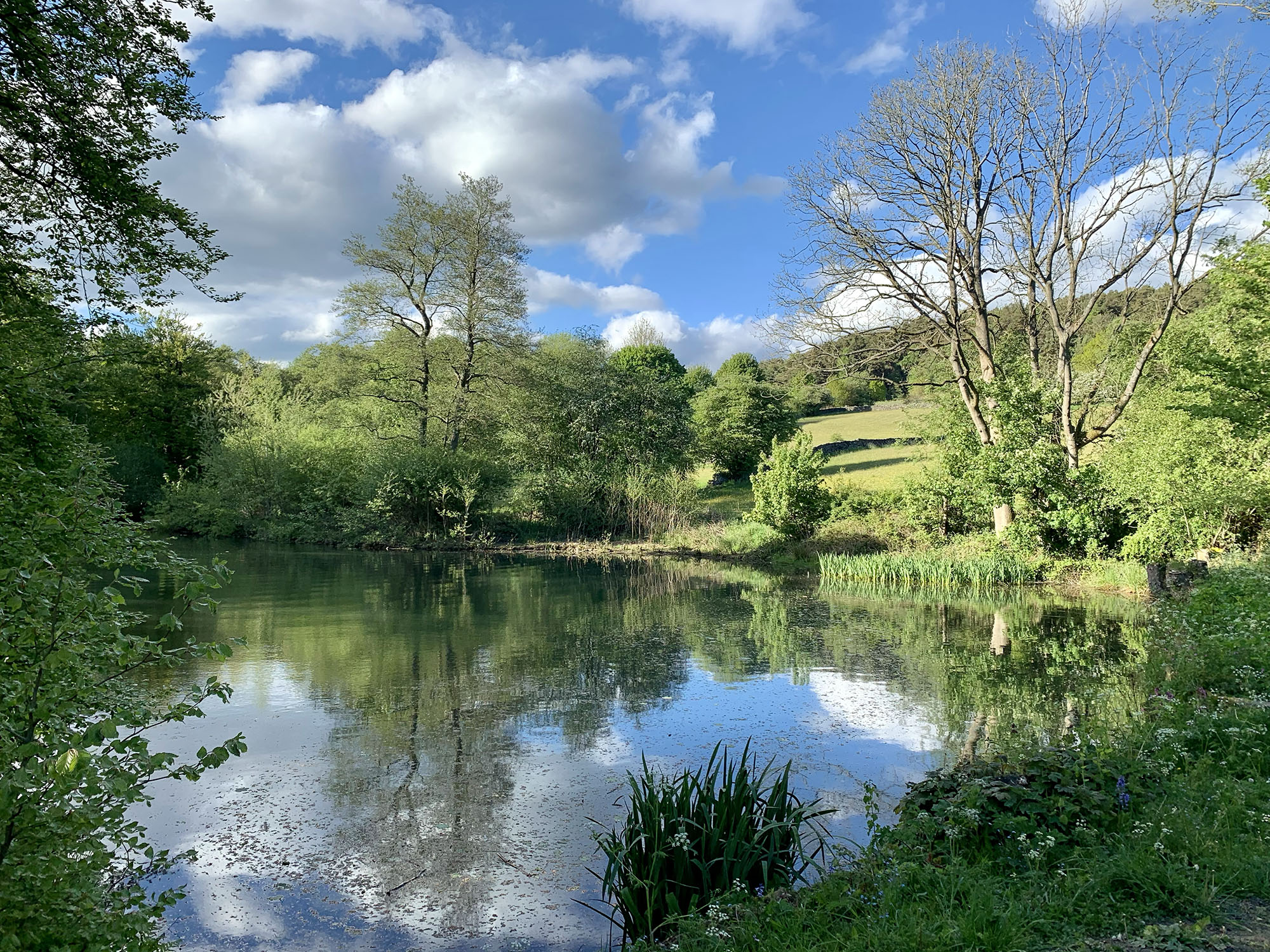 18 Amazing Things to Do in Matlock, Derbyshire