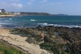 Best places to eat and drink in Falmouth - Swanpool Cafe