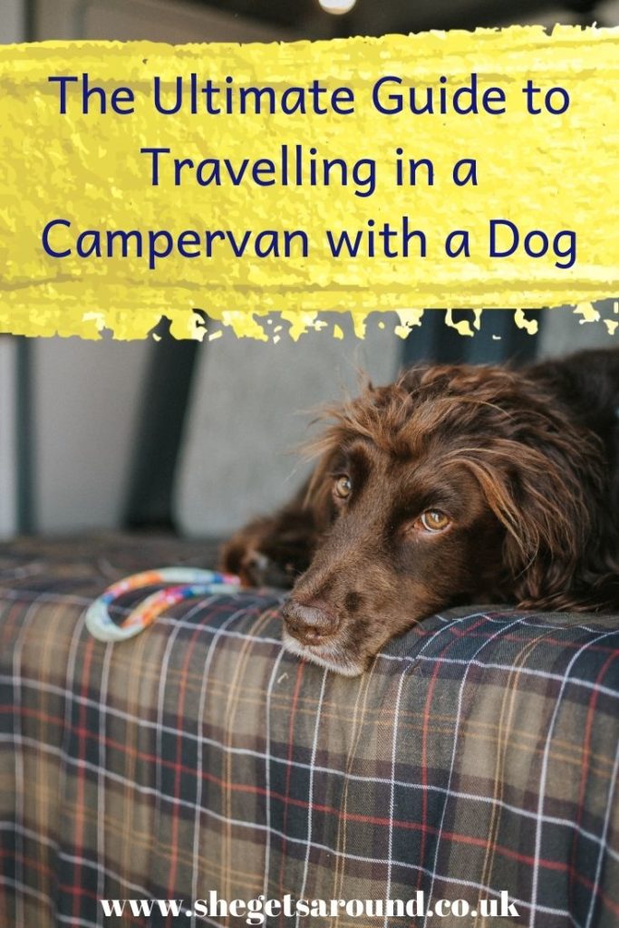 The ultimate guide to travelling in a campervan with a dog