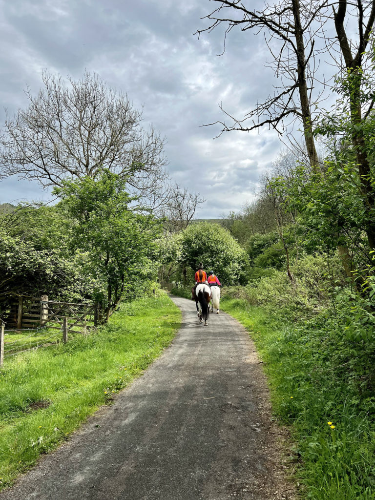 bridal way by Weag's Bridge - Easy short loop walk near Wetton in South West Peak