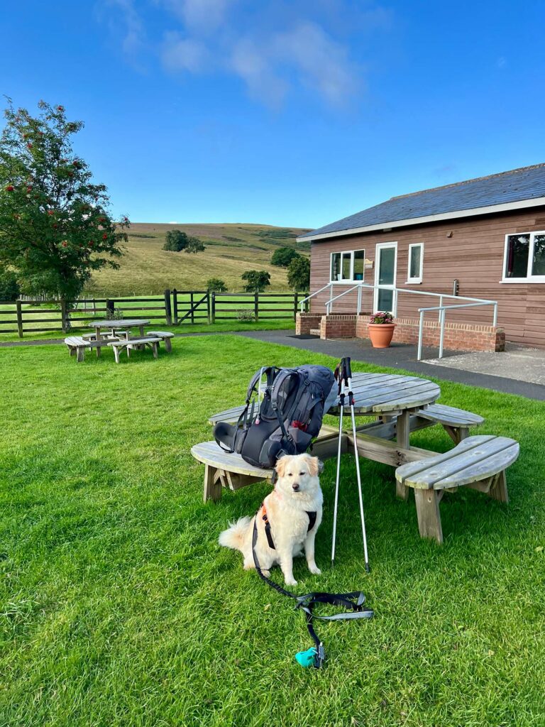 A dog friendly stay in Northumberland at Brown Rigg
