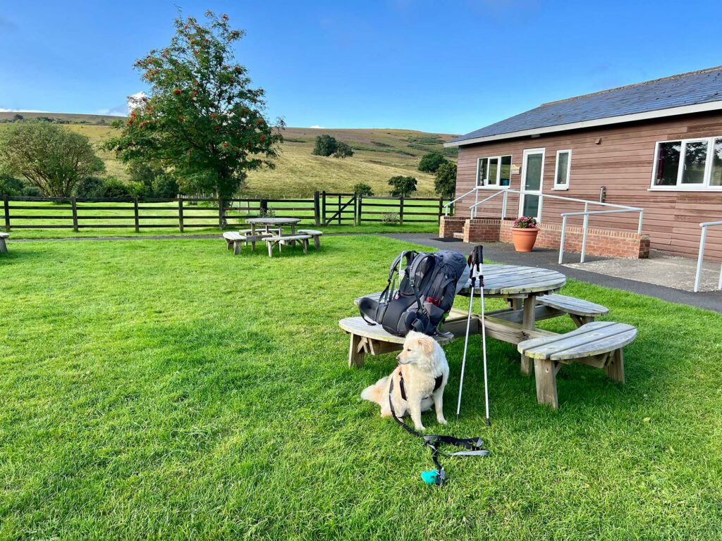 A dog friendly stay in Northumberland at Brown Rigg